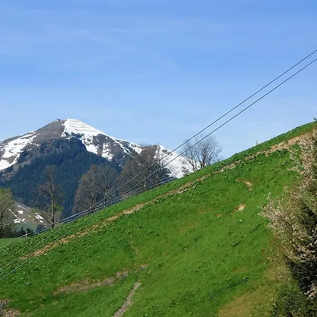 Haus Bergheim 아파트 잘바흐 힌터글렘